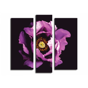 Модульная картина Цветок на черном фоне