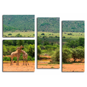 Модульная картина Африканский пейзаж. Жирафы
